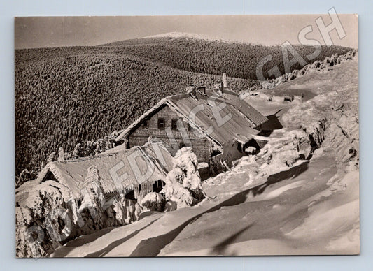 Pohlednice Jeseníky chata Vřesová studánka 1947 (M24137)