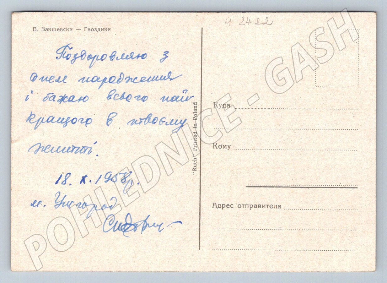 Červené karafiáty V. Zakshevski 1958 vintage (M2422)