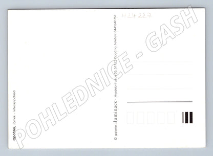Pohlednice Opočno zámek letecký pohled (M24227)