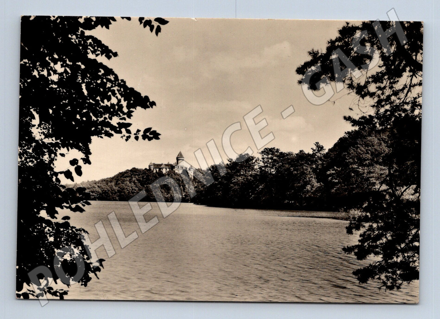 Pohlednice Konopiště zámek od rybníka (M24238)