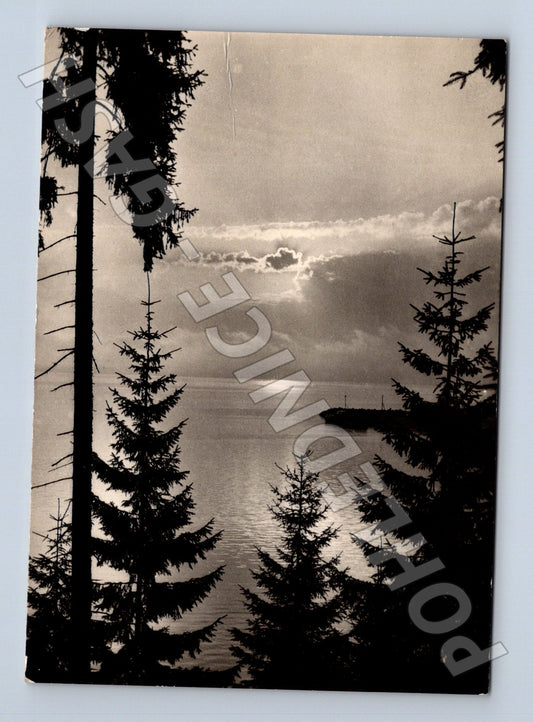 Pohlednice Slovensko Oravská přehrada krajina 1958 (M24278)