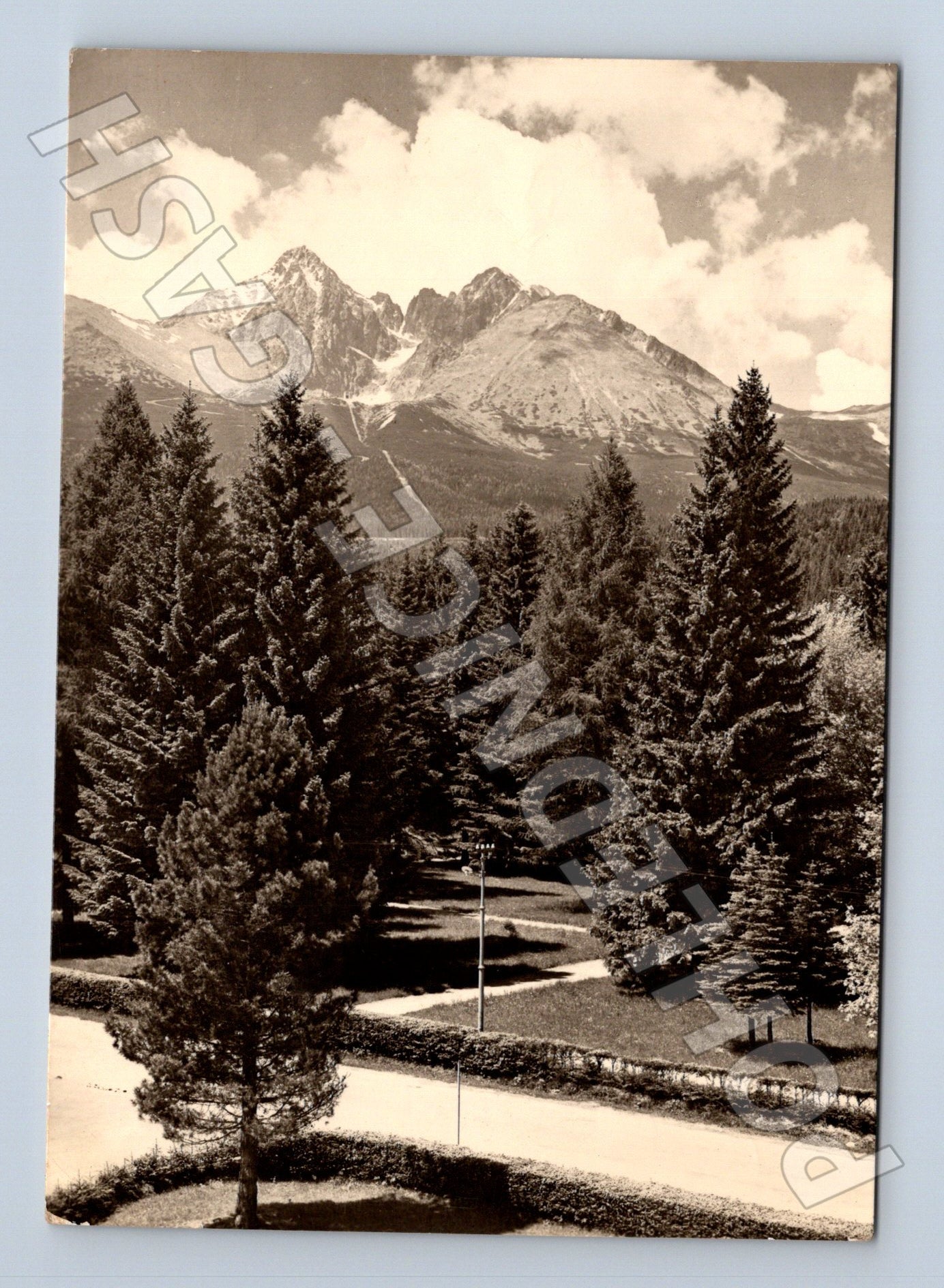 Pohlednice Slovensko Tatry Lomnický štít a stromy (M24284)