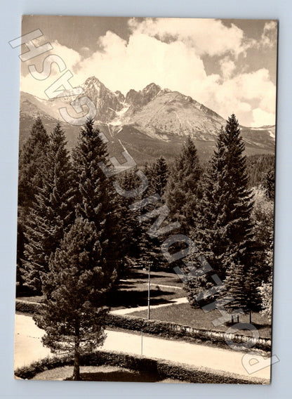Pohlednice Slovensko Tatry Lomnický štít a stromy (M24284)