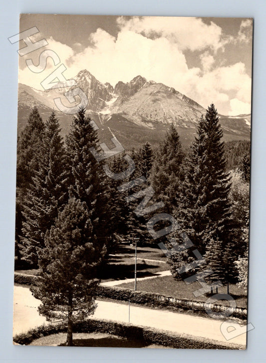Pohlednice Slovensko Tatry Lomnický štít a stromy (M24284)