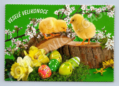 Pohlednice Velikonoce kuřátka vajíčka 2006 (M24314)