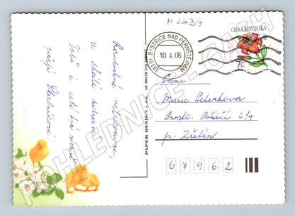 Pohlednice Velikonoce kuřátka vajíčka 2006 (M24314)