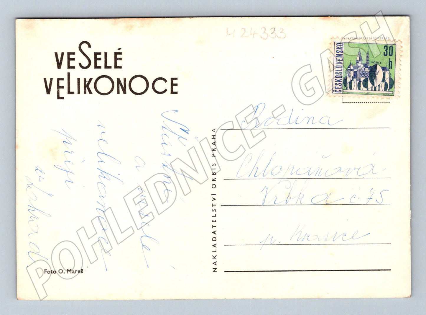 Pohlednice Velikonoce malovaná vejce narcisy (M24333)