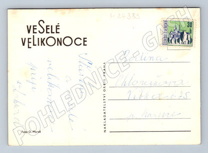 Pohlednice Velikonoce malovaná vejce narcisy (M24333)