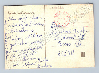 Pohlednice Velikonoční motiv vejce narcis 1980 (M24336)