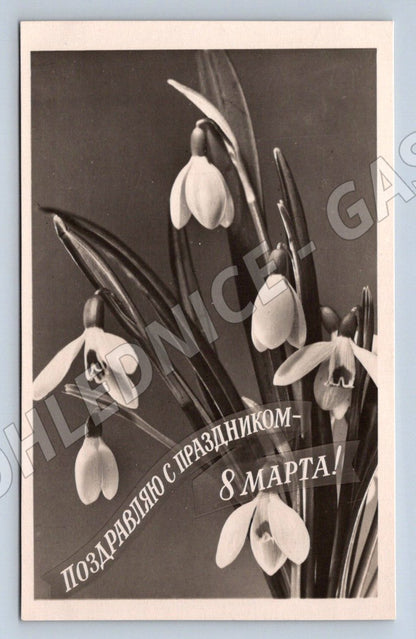 SSSR 1960 MDŽ květiny (M2434)