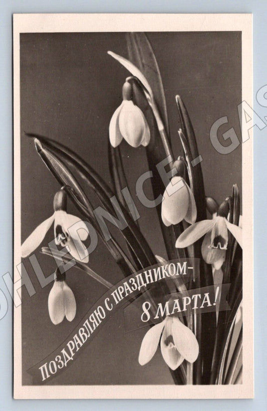 SSSR 1960 MDŽ květiny (M2434)