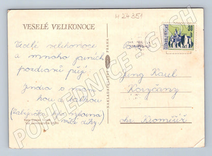 Pohlednice Velikonoční vajíčka a hyacinty (M24351)