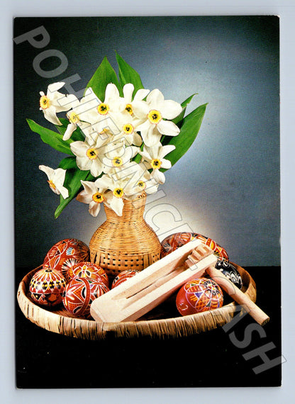 Pohlednice Slovensko Velikonoční motiv narcisy kraslice (M24367)