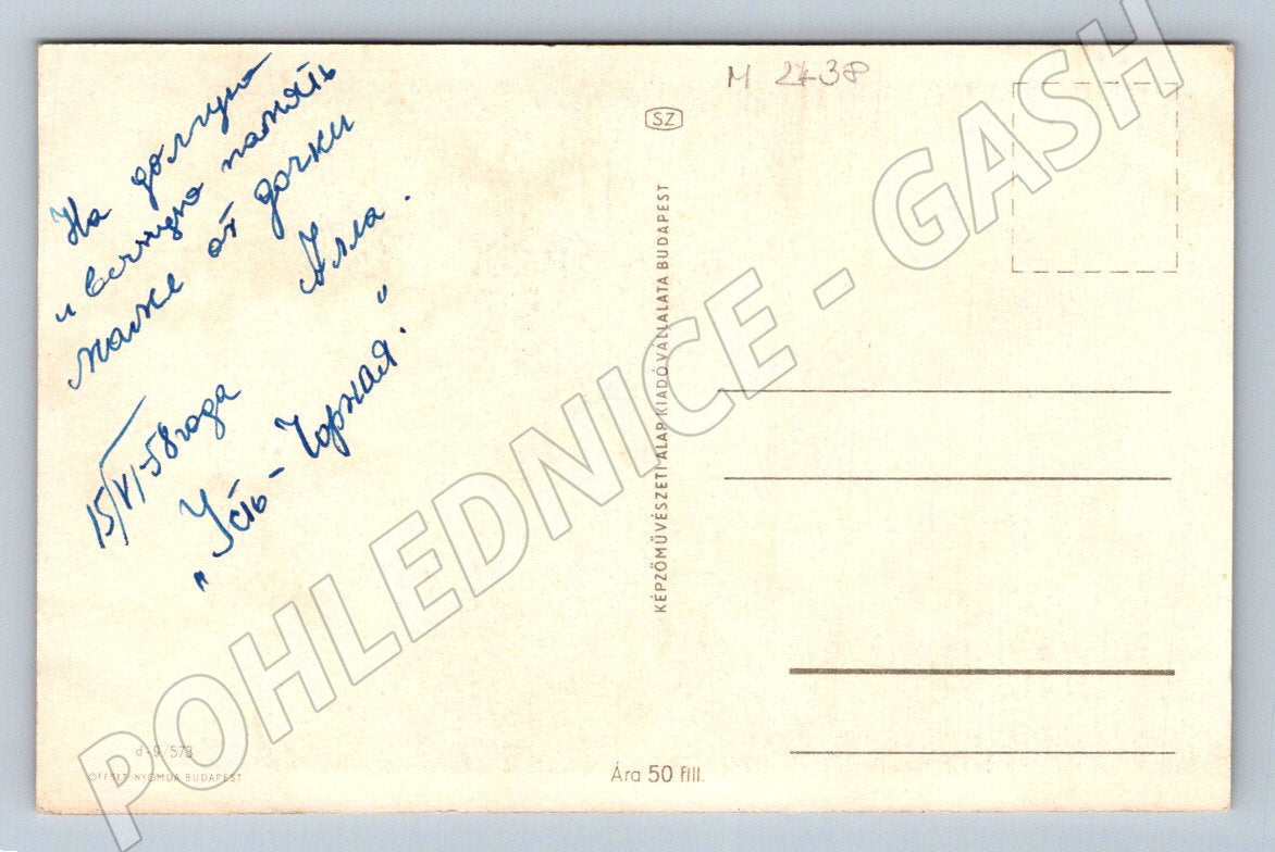 Budapešť vintage červené růže etnografie (M2438)