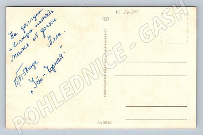 Budapešť vintage červené růže etnografie (M2438)