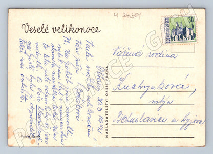 Pohlednice Velikonoční zajíc kuřata učení (M24381)
