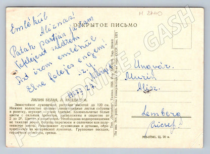 Bílé lilie ruský text 1950 (M2440)
