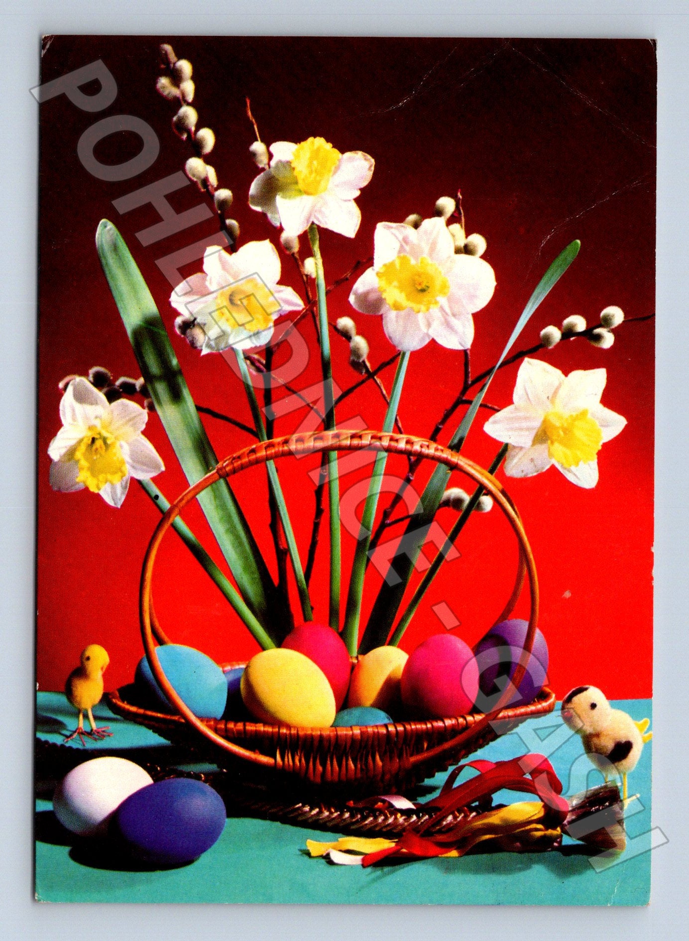 Pohlednice Velikonoční motiv s narcisy a vajíčky 1976 (M24417)
