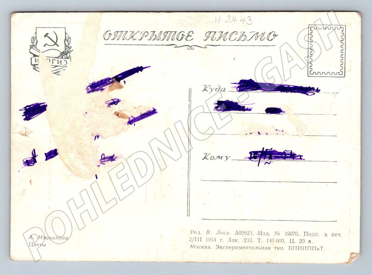 SSSR 1954 květinové zátiší A. Másnikov (M2443)