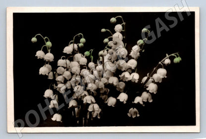 Sněženky Rusko 1957 etnografie (M2444)