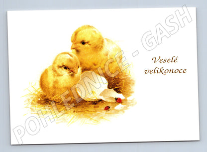 Pohlednice Veselé velikonoce kuřátka (M24447)
