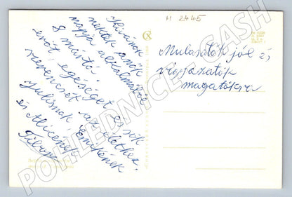 Kočičky a jarní květy etnografie (M2445)