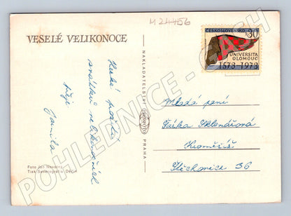 Pohlednice Velikonoce v košíku 1973 (M24456)