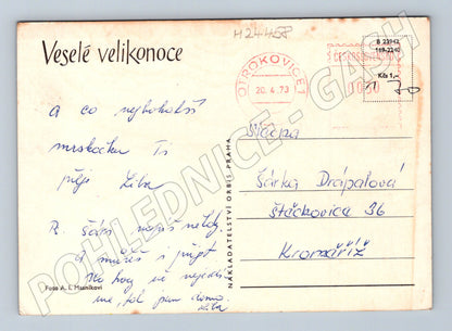 Pohlednice velikonoční motiv kraslice narcisy 1973 (M24458)