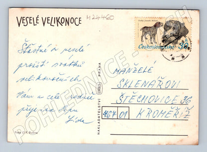 Pohlednice Velikonoční motiv vrba kočičky vejce (M24460)