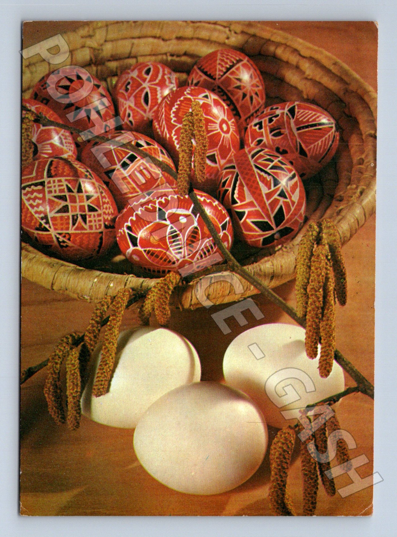 Pohlednice Velikonoční vajíčka kočičky 1974 (M24465)