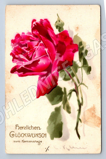 Růže s německým přáním Rakousko-Uhersko (M2447)