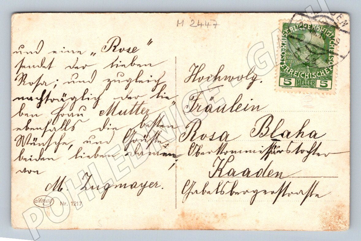 Růže s německým přáním Rakousko-Uhersko (M2447)