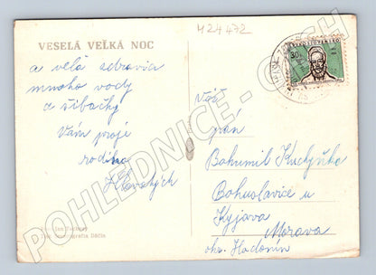 Pohlednice k Velikonocům káčátko sněženky (M24472)