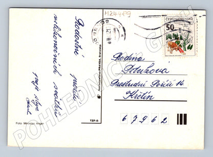 Pohlednice Velikonoční motiv forsythie a vejce 197x (M24489)