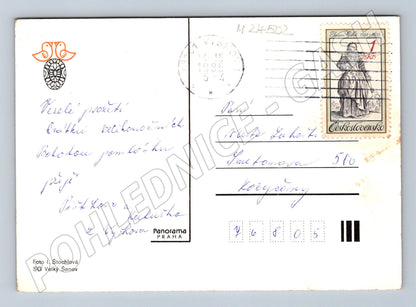 Pohlednice Velikonoční vajíčka a kočičky 1985 (M24502)