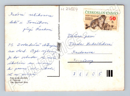 Pohlednice Velikonoční dítě s králíky (M24504)