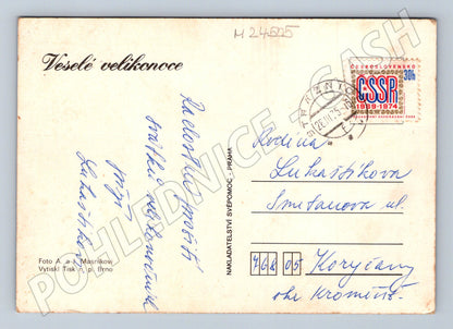 Pohlednice Veselé velikonoce mimosa džbán keramika 1975 (M24505)