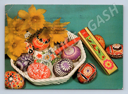 Pohlednice Velikonoce kraslice narcisy 1981 (M24509)