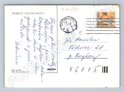 Pohlednice Velikonoce kraslice narcisy 1981 (M24509)