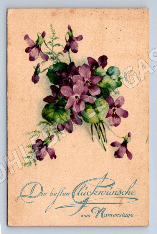 Fialky 1913 sbírková pohlednice (M2451)