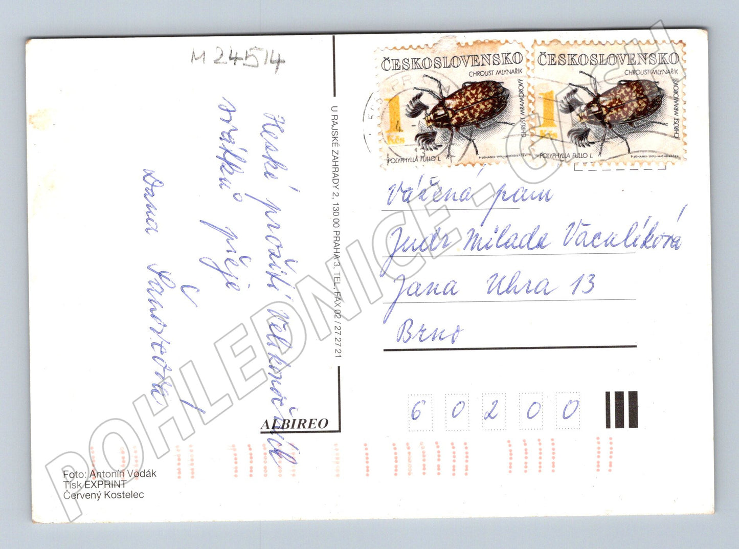 Pohlednice Velikonoční vajíčka s mašlí (M24514)