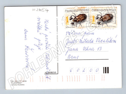 Pohlednice Velikonoční vajíčka s mašlí (M24514)