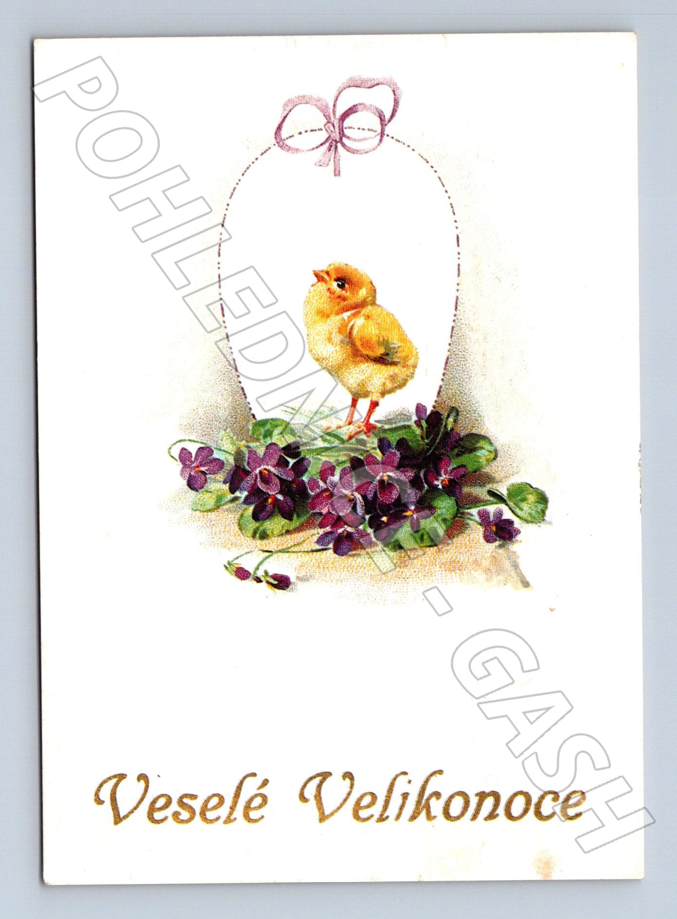 Pohlednice Velikonoce s kuřetem a violkami 1991 (M24515)