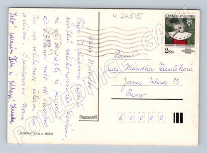 Pohlednice Velikonoce s kuřetem a violkami 1991 (M24515)