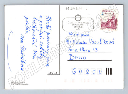 Pohlednice Velikonoční vajíčka květiny (M24517)