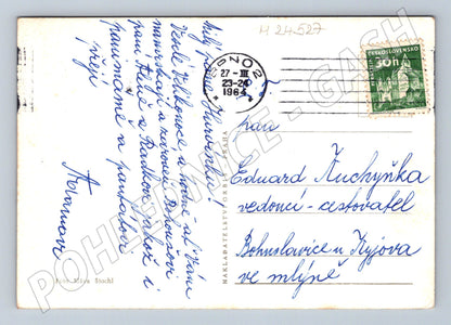 Pohlednice housátka jarní pozdrav 1964 (M24527)