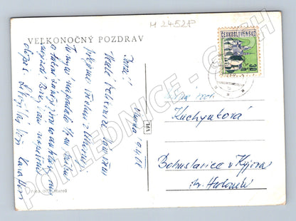 Pohlednice květiny tulipán kočičky 1940 (M24528)