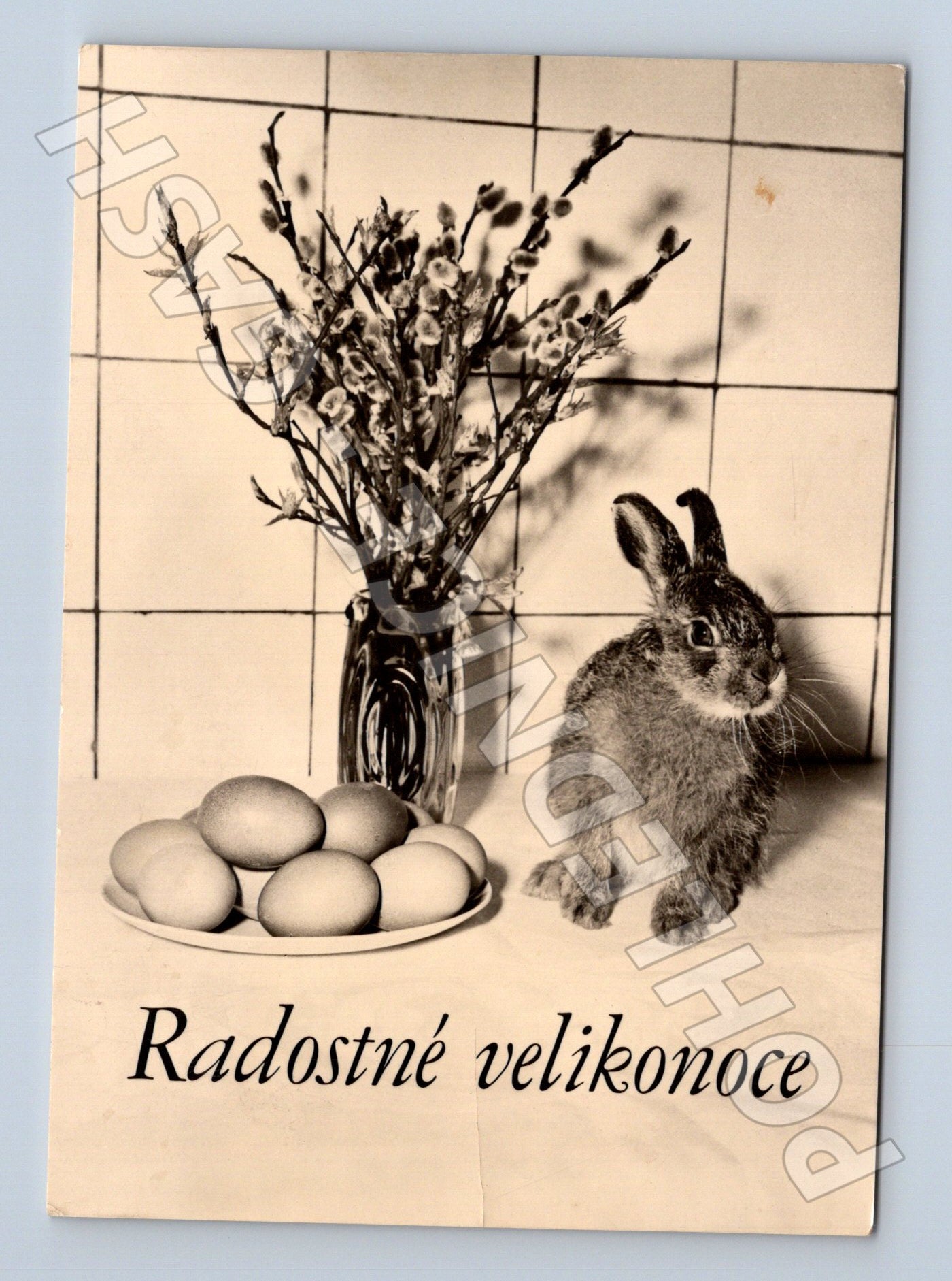 Pohlednice Velikonoce zajíček a kočičky (M24530)