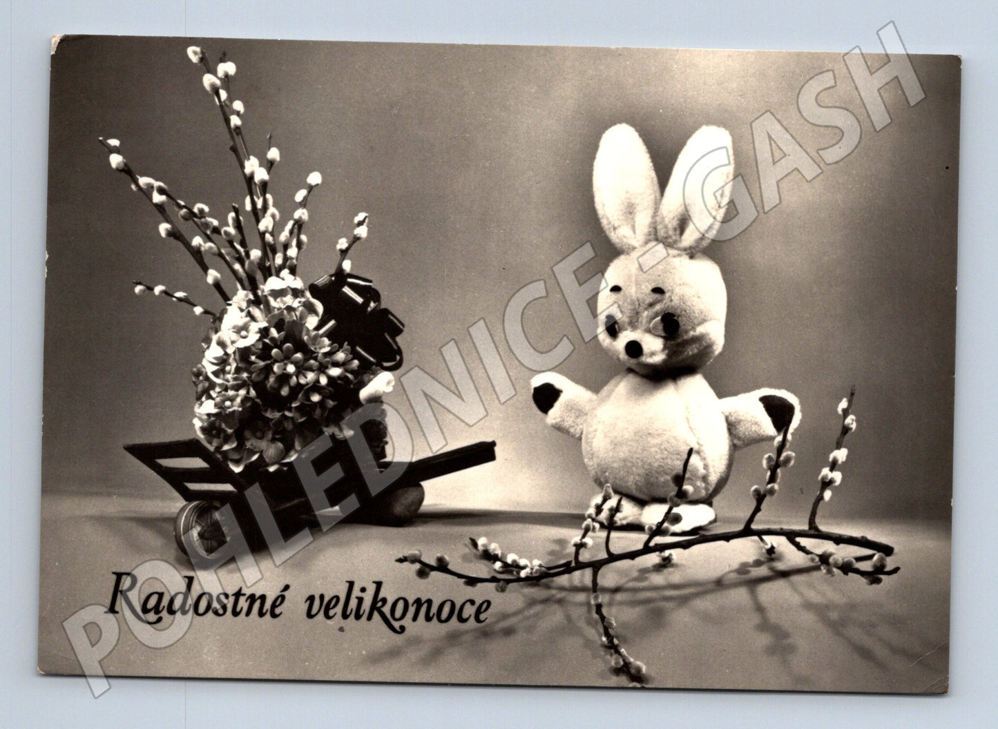 Pohlednice velikonoční zajíc kočičky cca 1960 (M24532)