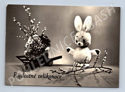 Pohlednice velikonoční zajíc kočičky cca 1960 (M24532)